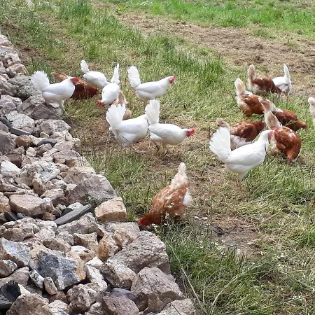 Eiernest Διαμέρισμα