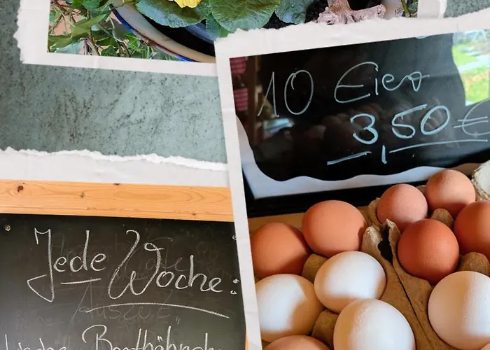 Eiernest Apartamento